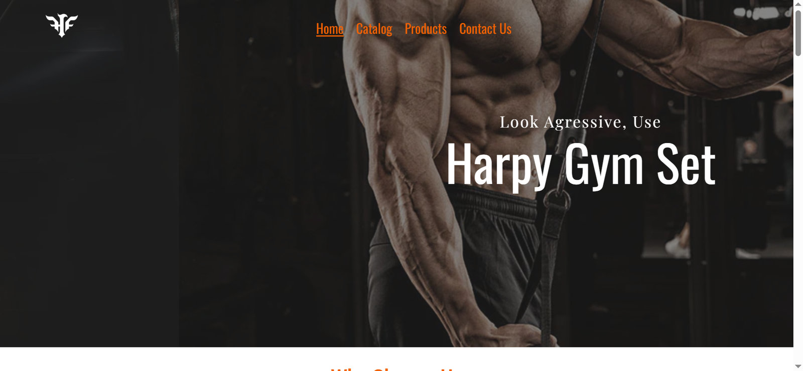 Harpy Fitness